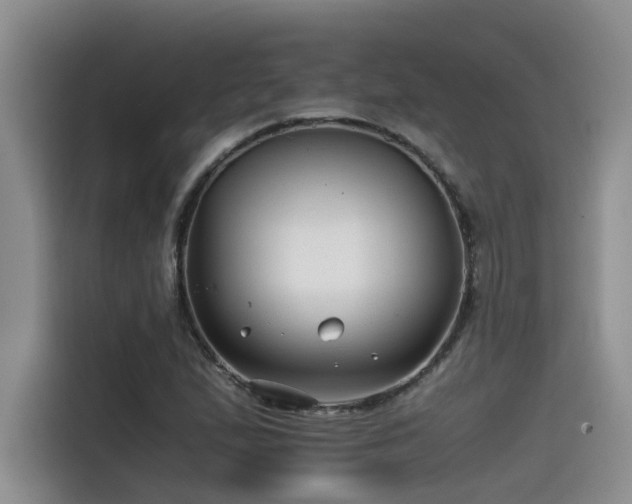 X0000115641167200911171416