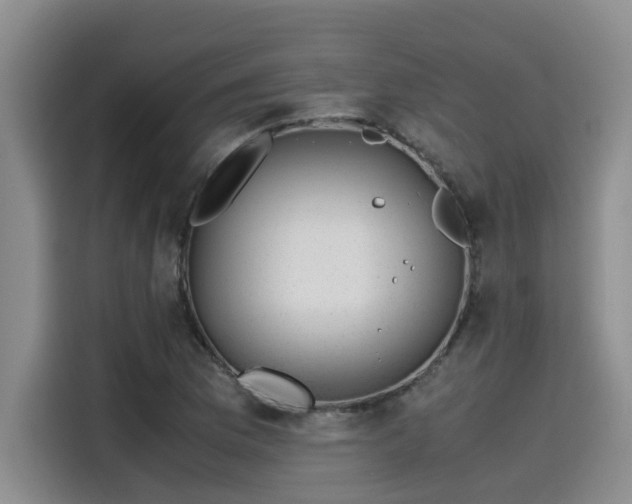 X0000115641169200911171416