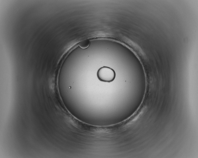 X0000115641170200911171416