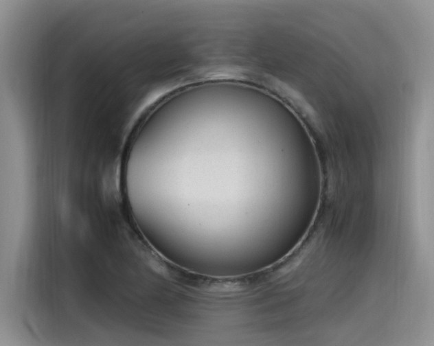 X0000115641174200911171416