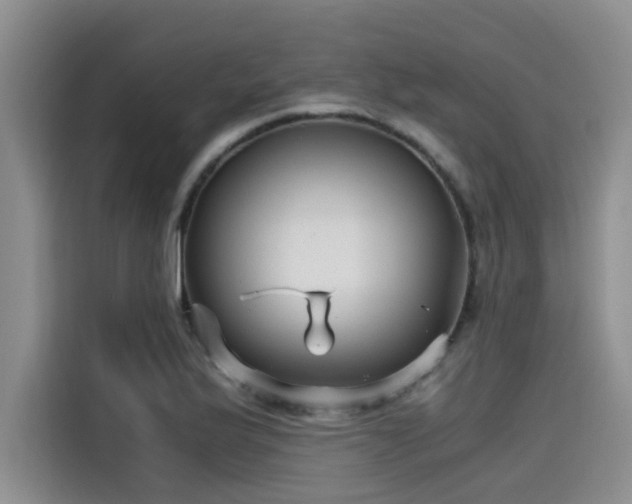 X0000115641175200911171416