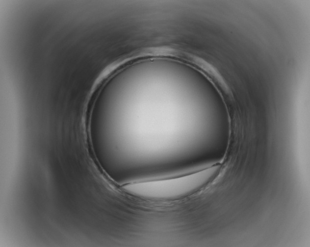 X0000115641176200911171416