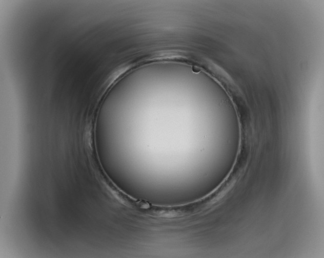 X0000115641177200911171416