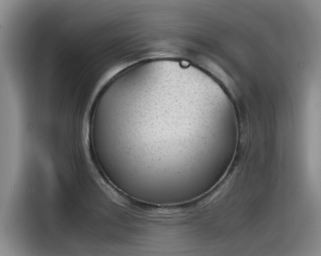 X0000115641179200911171416