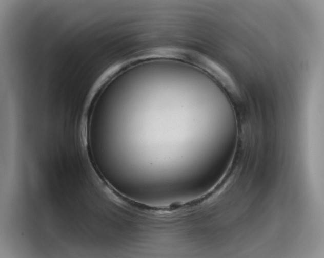 X0000115641180200911171416
