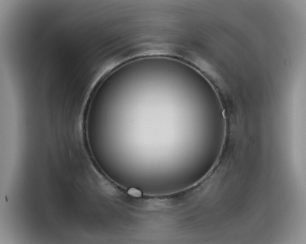 X0000115641181200911171416
