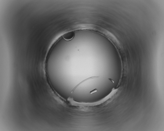 X0000115641182200911171416