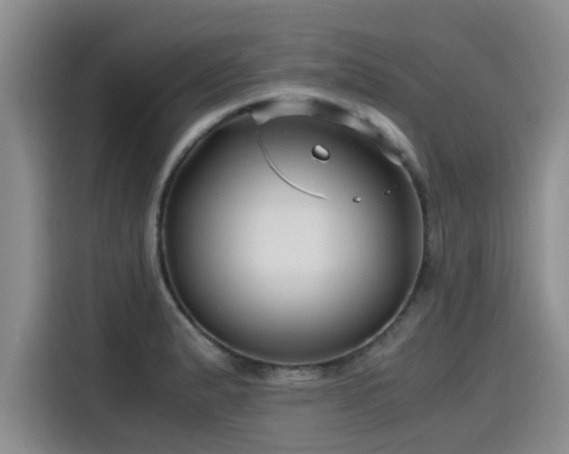 X0000115641183200911171416