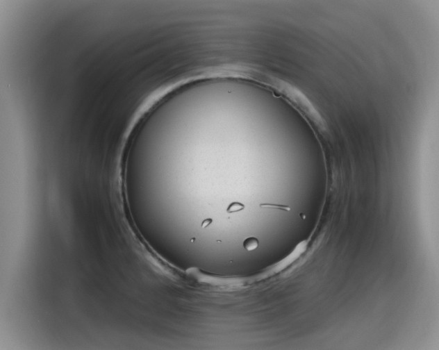 X0000115641184200911171416