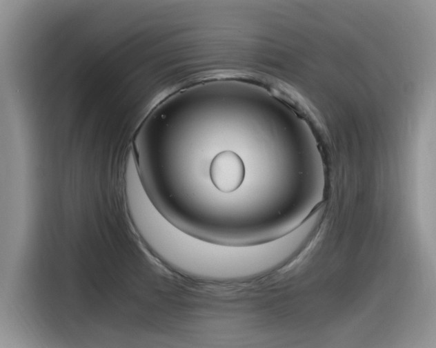X0000115641185200911171416