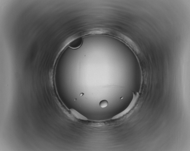 X0000115641186200911171416
