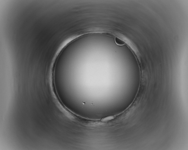 X0000115641187200911171416