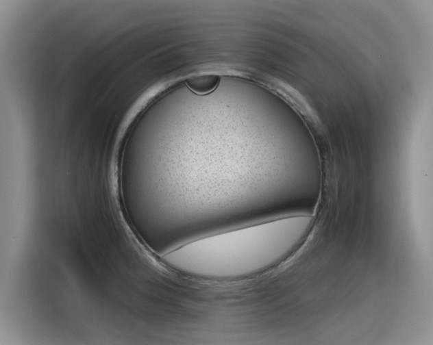 X0000115641188200911171416