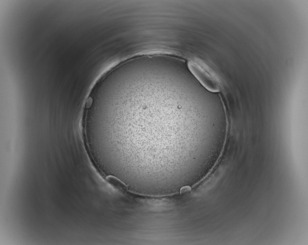 X0000115641189200911171416