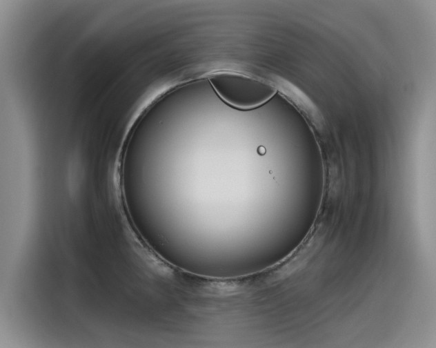 X0000115641190200911171416