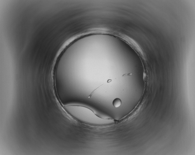 X0000115641192200911171416