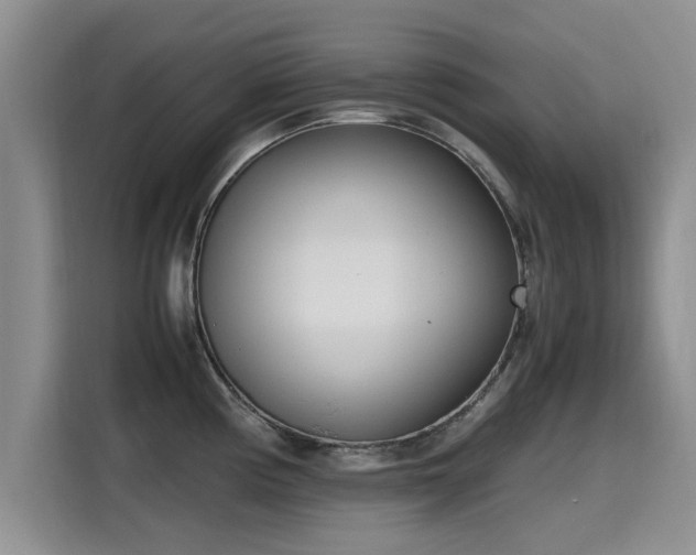 X0000115641194200911171416