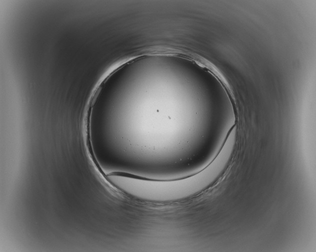 X0000115641195200911171416