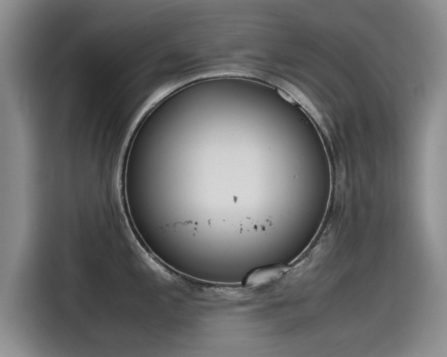 X0000115641197200911171416
