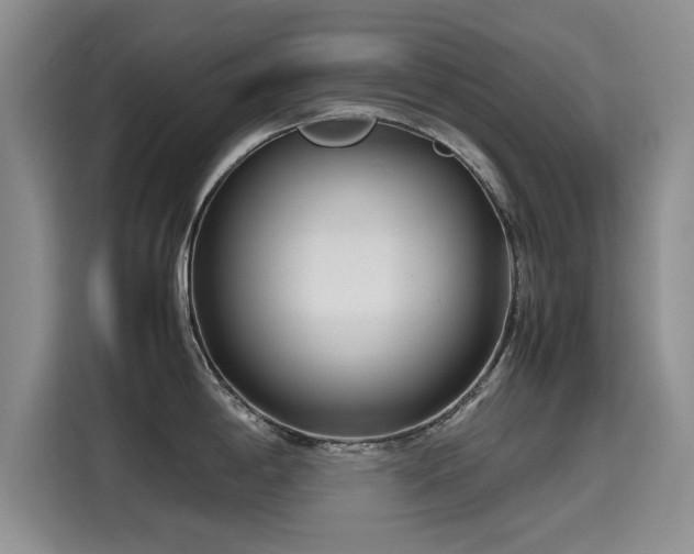 X0000115641198200911171416