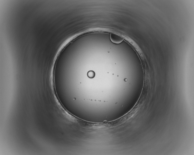 X0000115641199200911171416