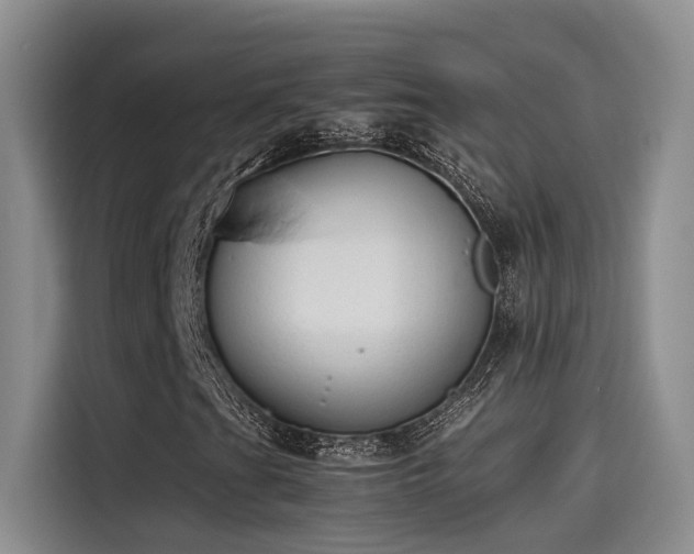 X0000115641201200911171415