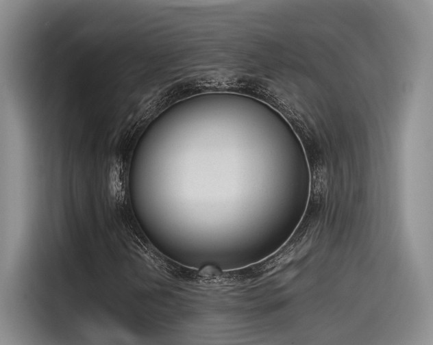 X0000115641202200911171415