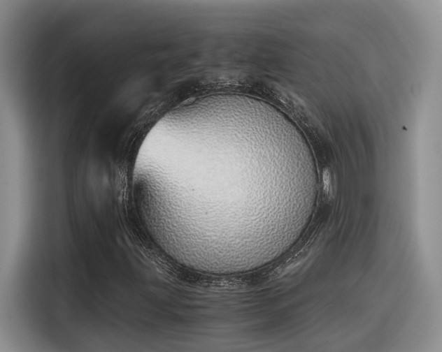 X0000115641203200911171415