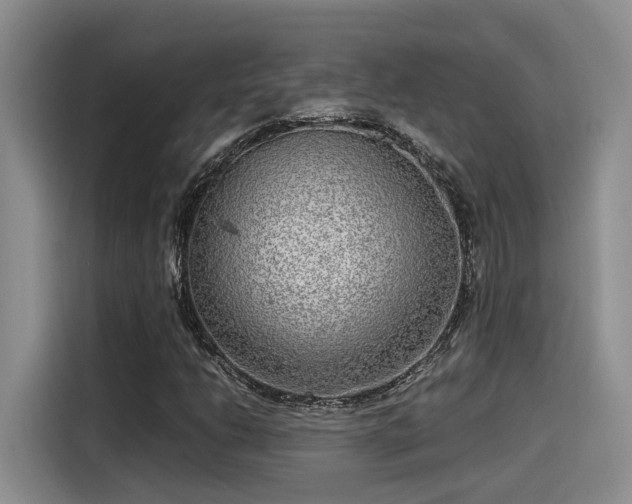 X0000115641206200911171415