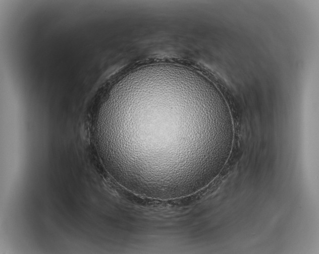 X0000115641207200911171415