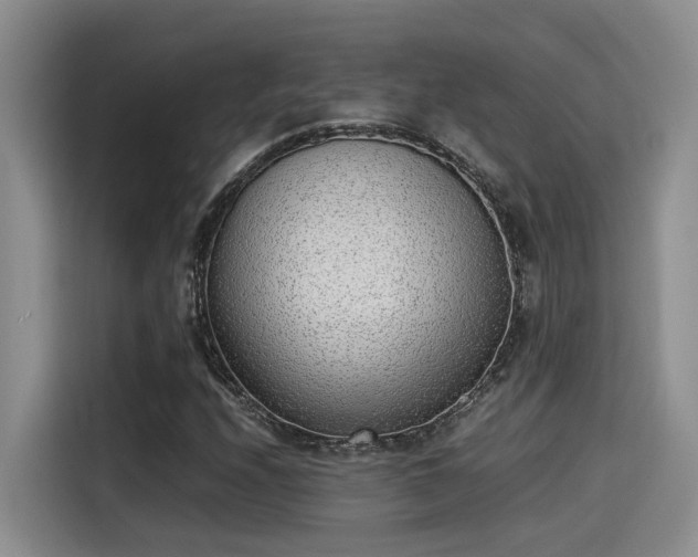 X0000115641208200911171415
