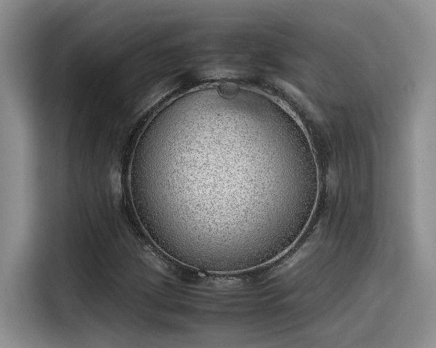 X0000115641209200911171415