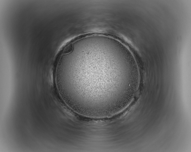 X0000115641214200911171415