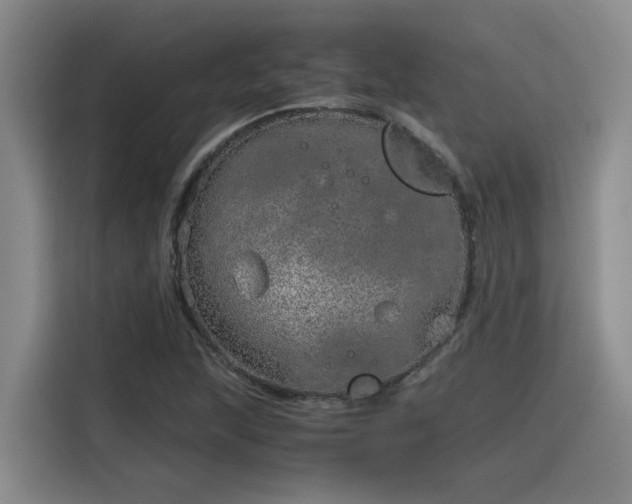 X0000115641215200911171415