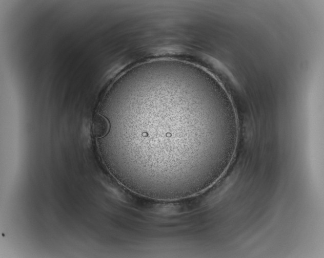X0000115641217200911171415