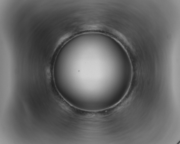 X0000115641218200911171415