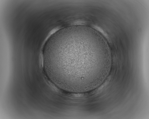 X0000115641219200911171415