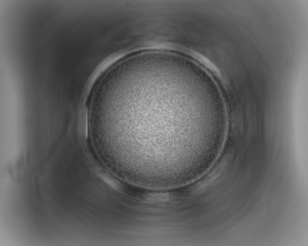 X0000115641223200911171415