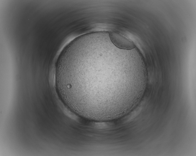 X0000115641227200911171415