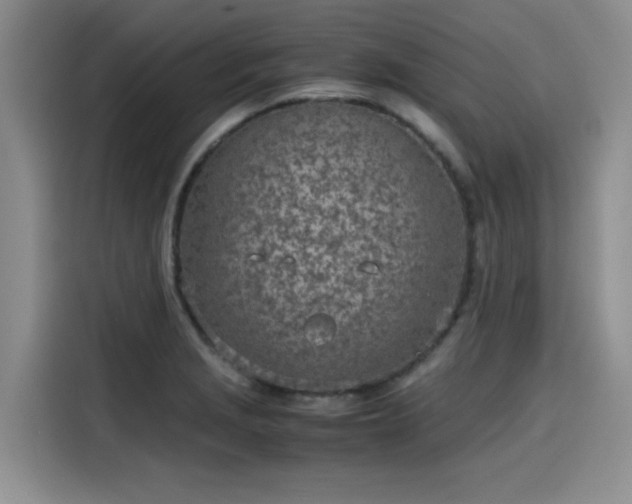 X0000115641229200911171415