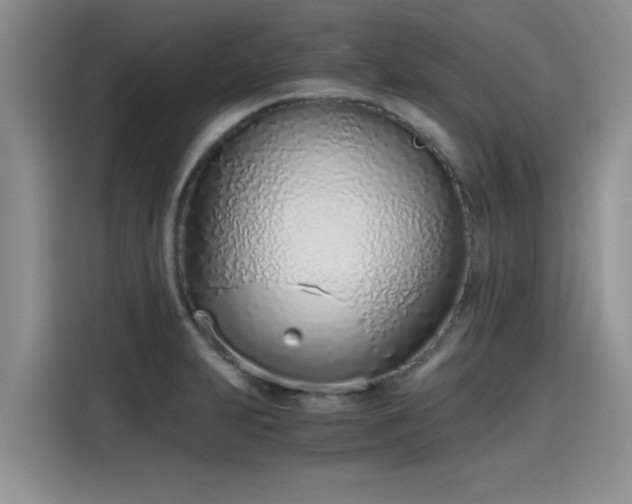 X0000115641231200911171416