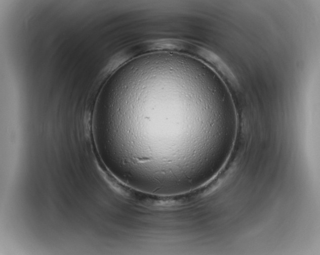 X0000115641233200911171416