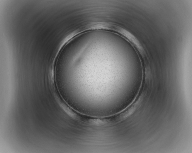 X0000115641234200911171416