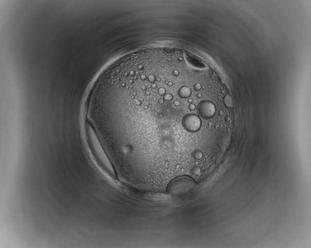 X0000115641235200911171416