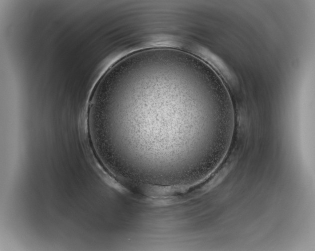 X0000115641236200911171416