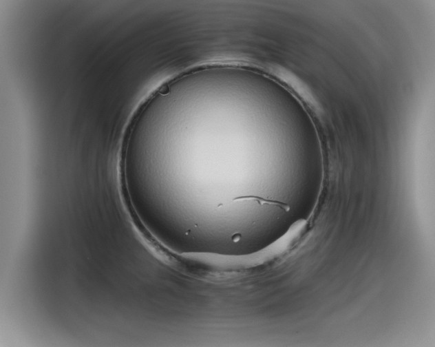 X0000115641237200911171416