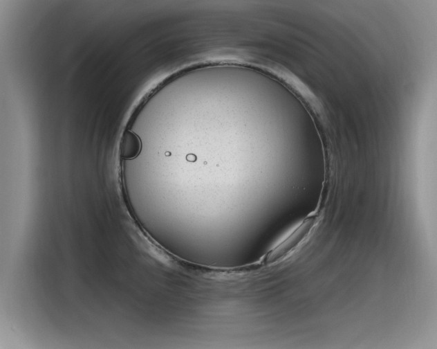 X0000115641240200911171416