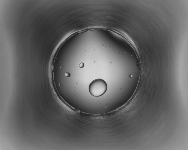 X0000115641243200911171416