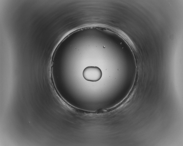 X0000115641244200911171416