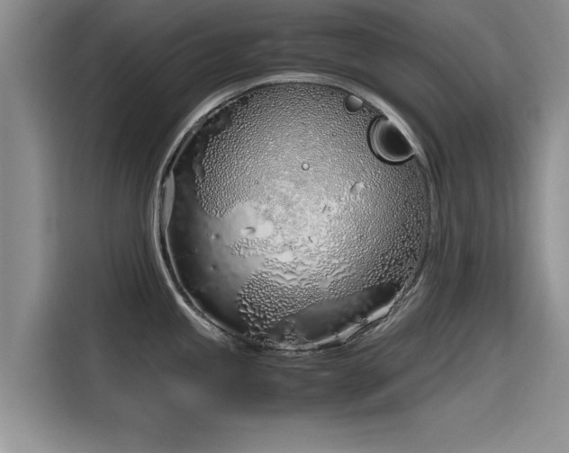 X0000115641245200911171416